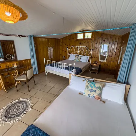 Dolphins View Vakantiehuis *